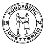 Kongsberg Idrettsråd