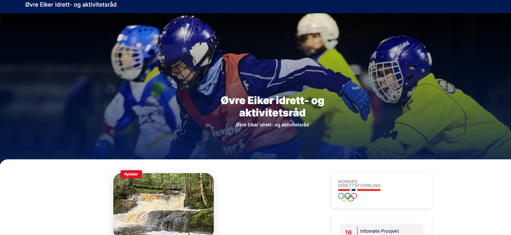 Øvre Eiker Idretts- og Aktivitetsråd sine hjemmesider. Foto: Skjermdump